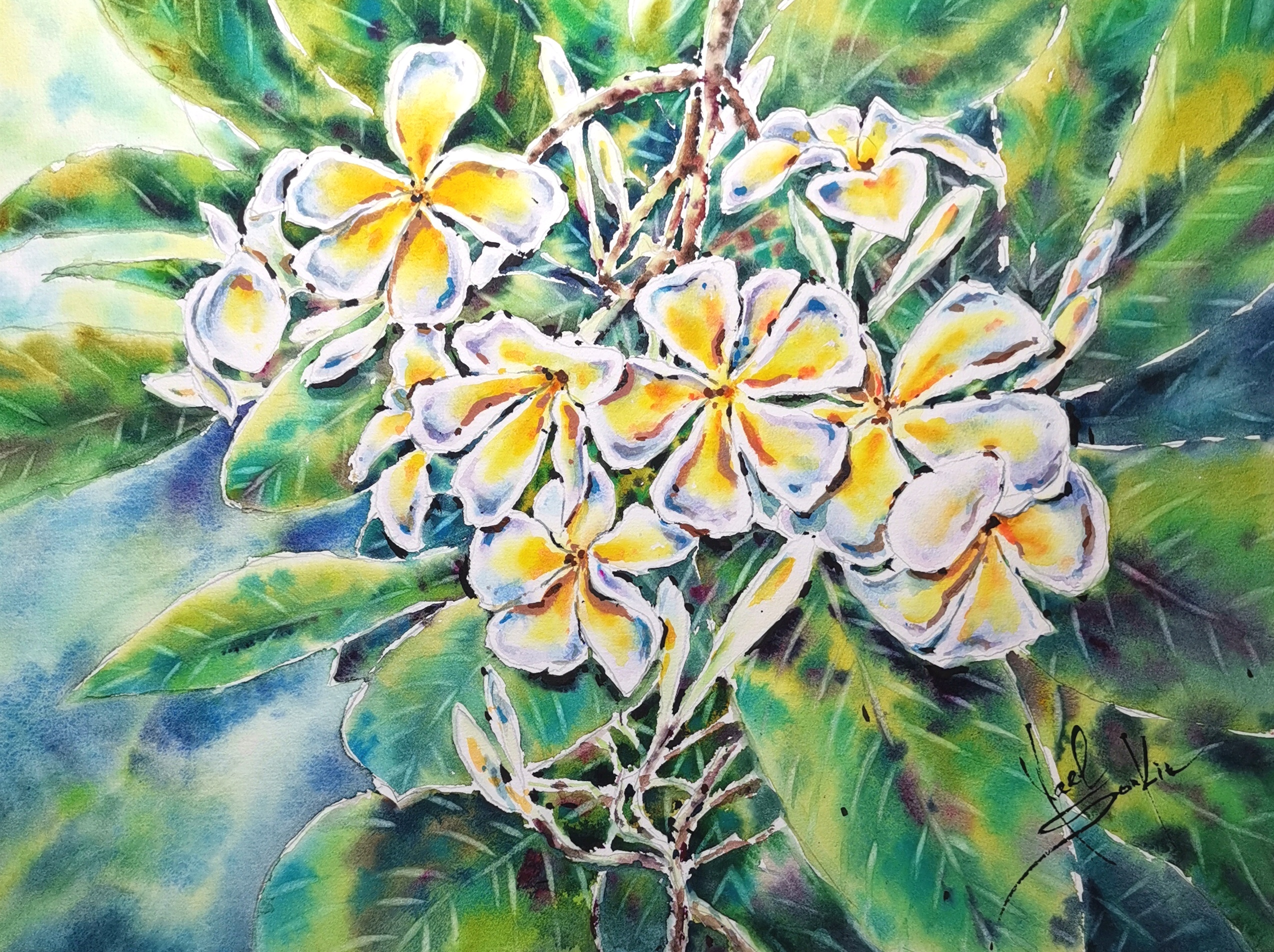 Plumeria Painting Original Watercolor Artwork