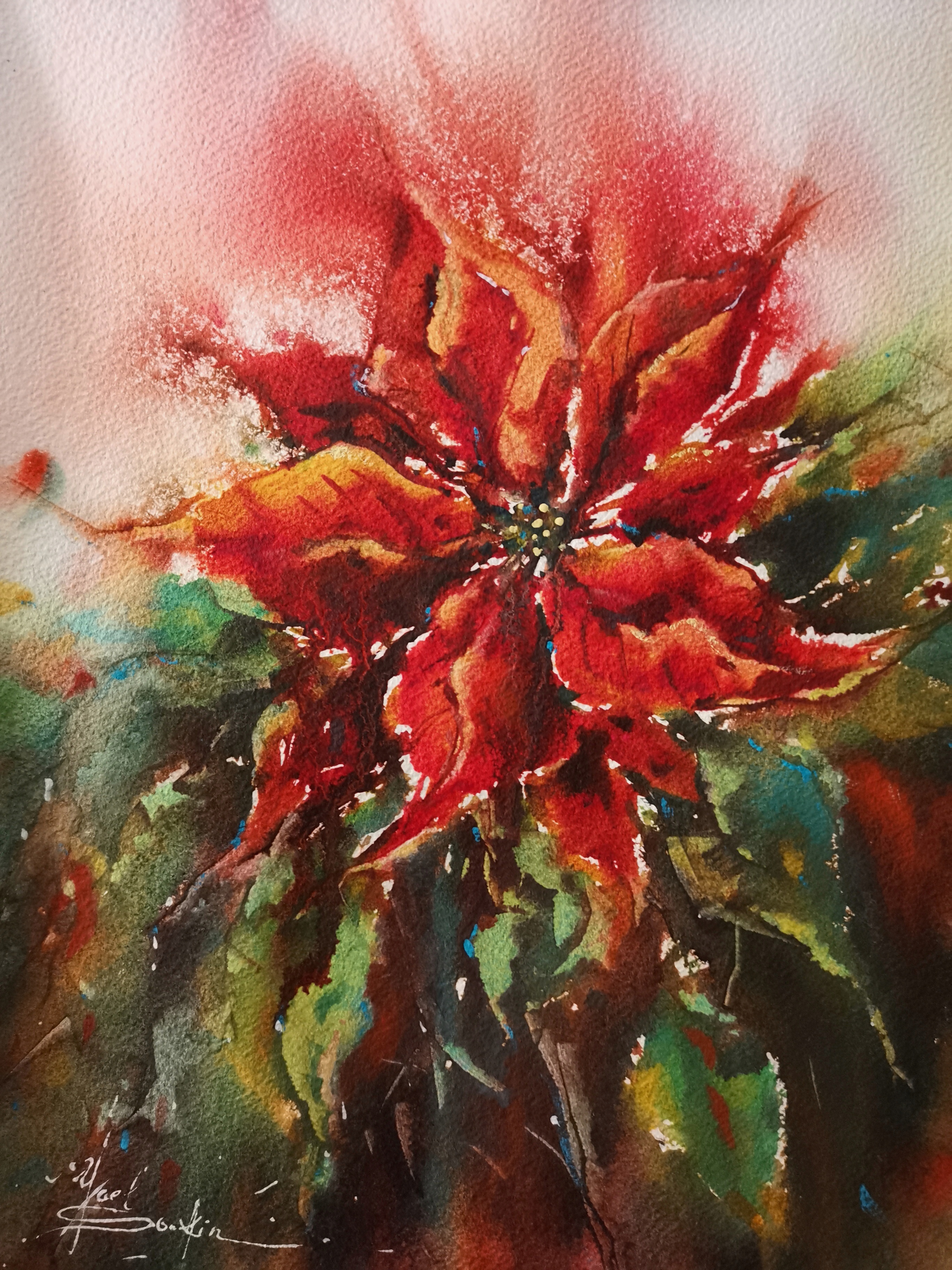 Poinsettia Painting Original Watercolor