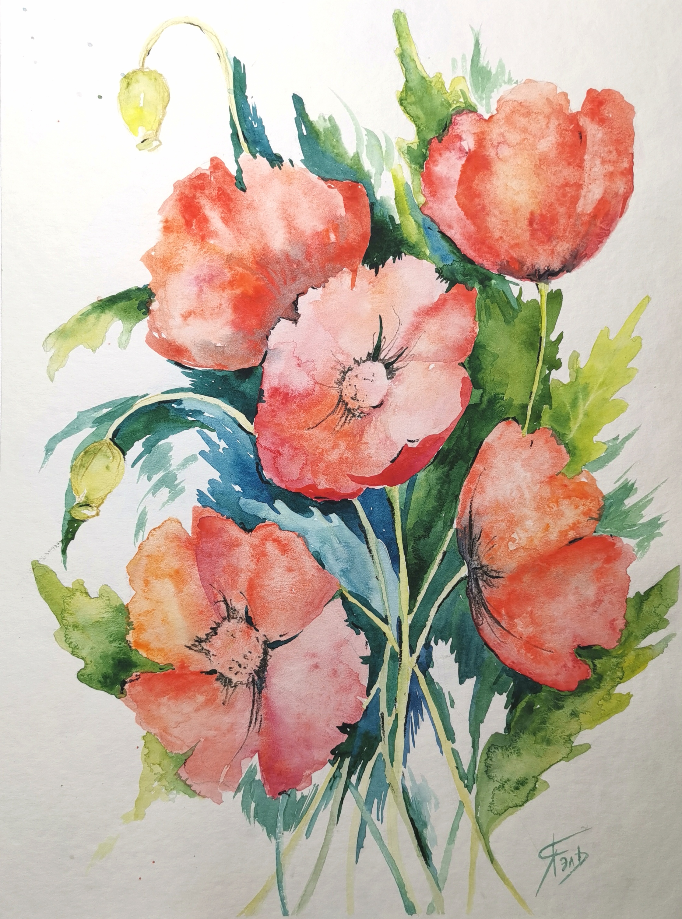 Poppy flower painting Original watercolor painting