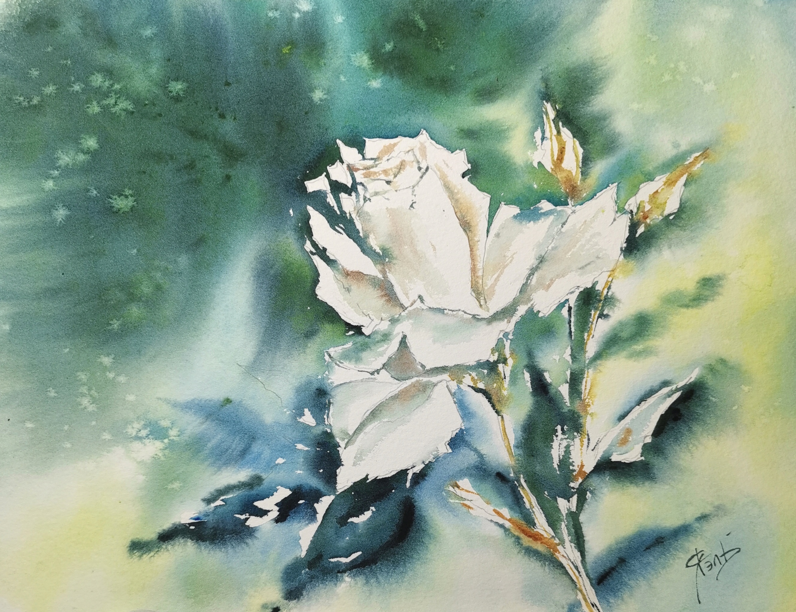 Rose Painting Original Watercolor 