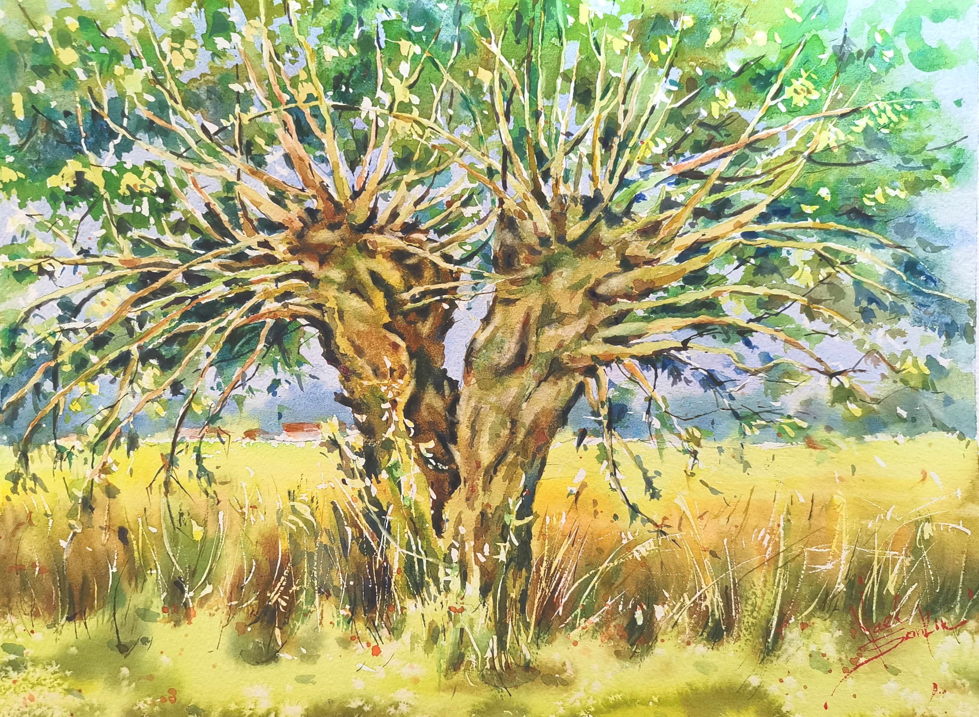 Original Watercolor Provence Twin Tree Painting - French Countryside Landscape Wall Art