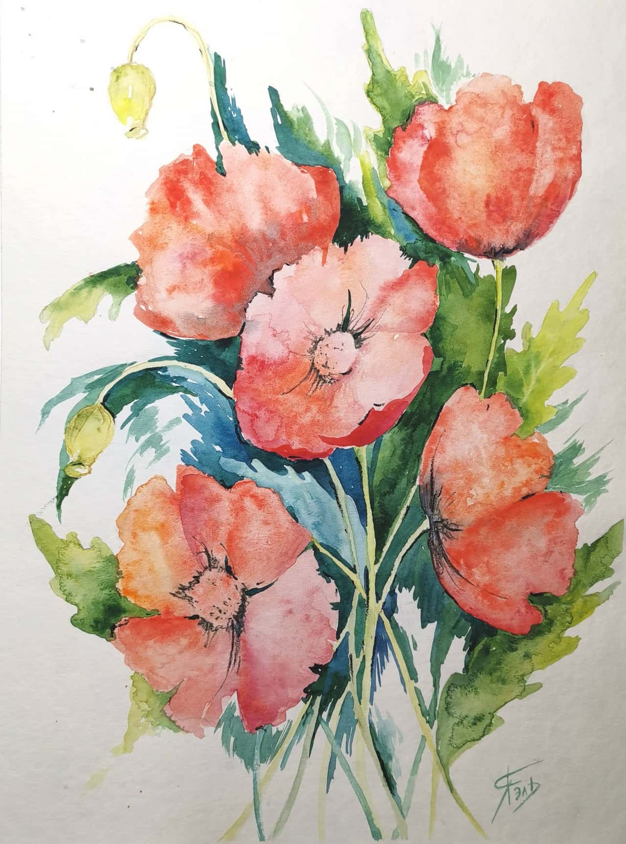 Poppy flower painting Original watercolor painting