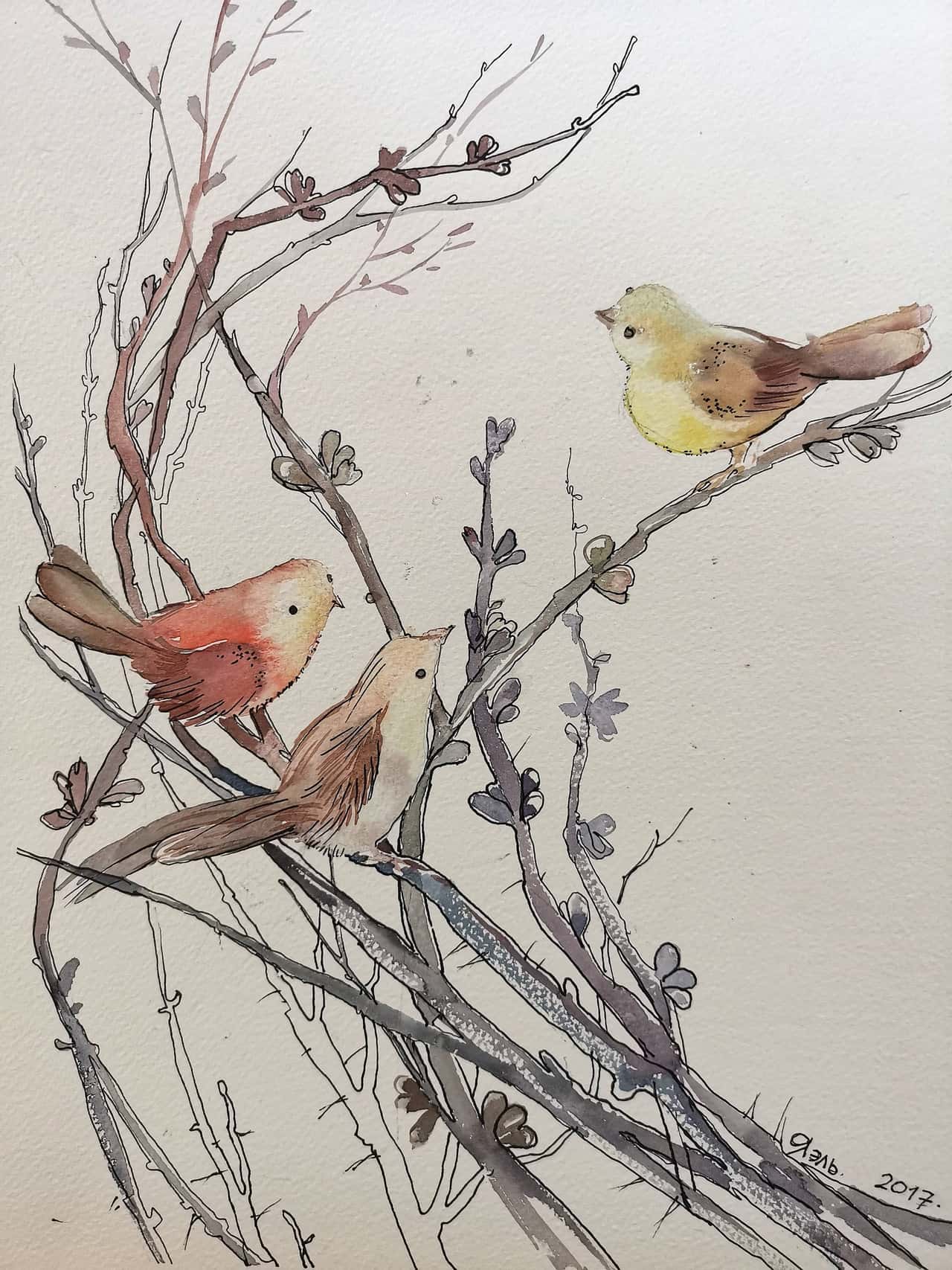 Bird Painting Original Watercolor Artwork