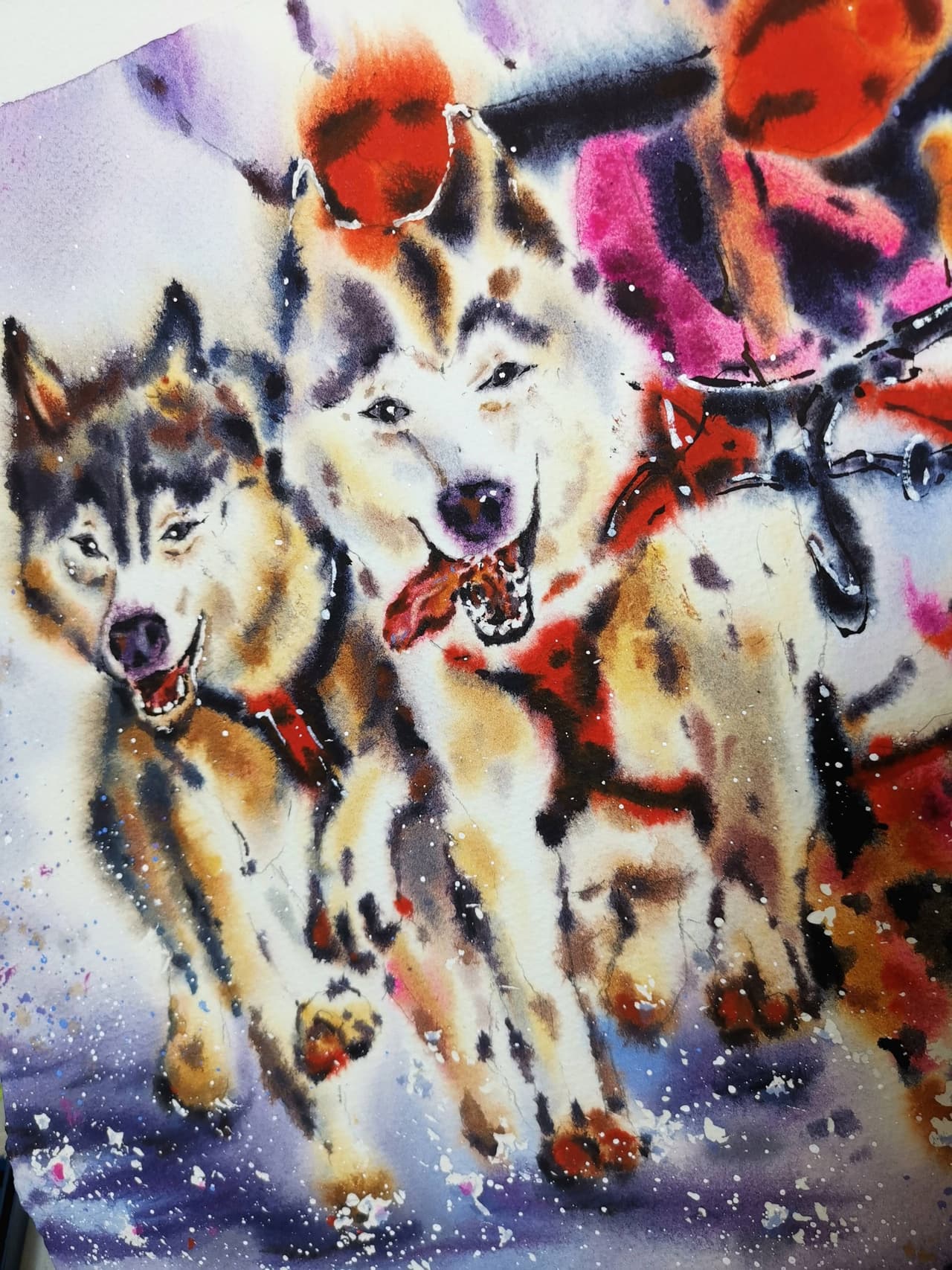 Original Watercolor Husky Dogs Painting - Alaska Sled Team Wall Art — image 4