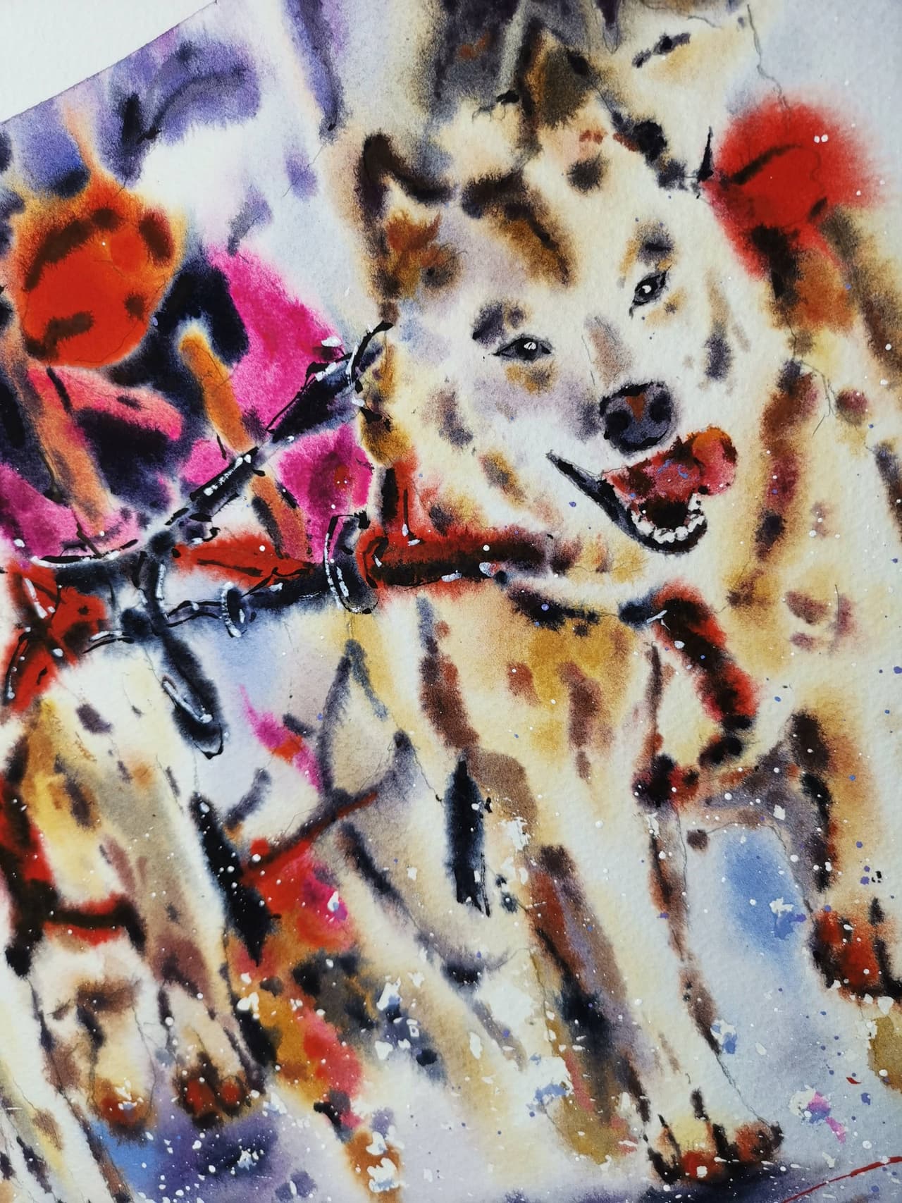 Original Watercolor Husky Dogs Painting - Alaska Sled Team Wall Art — image 3
