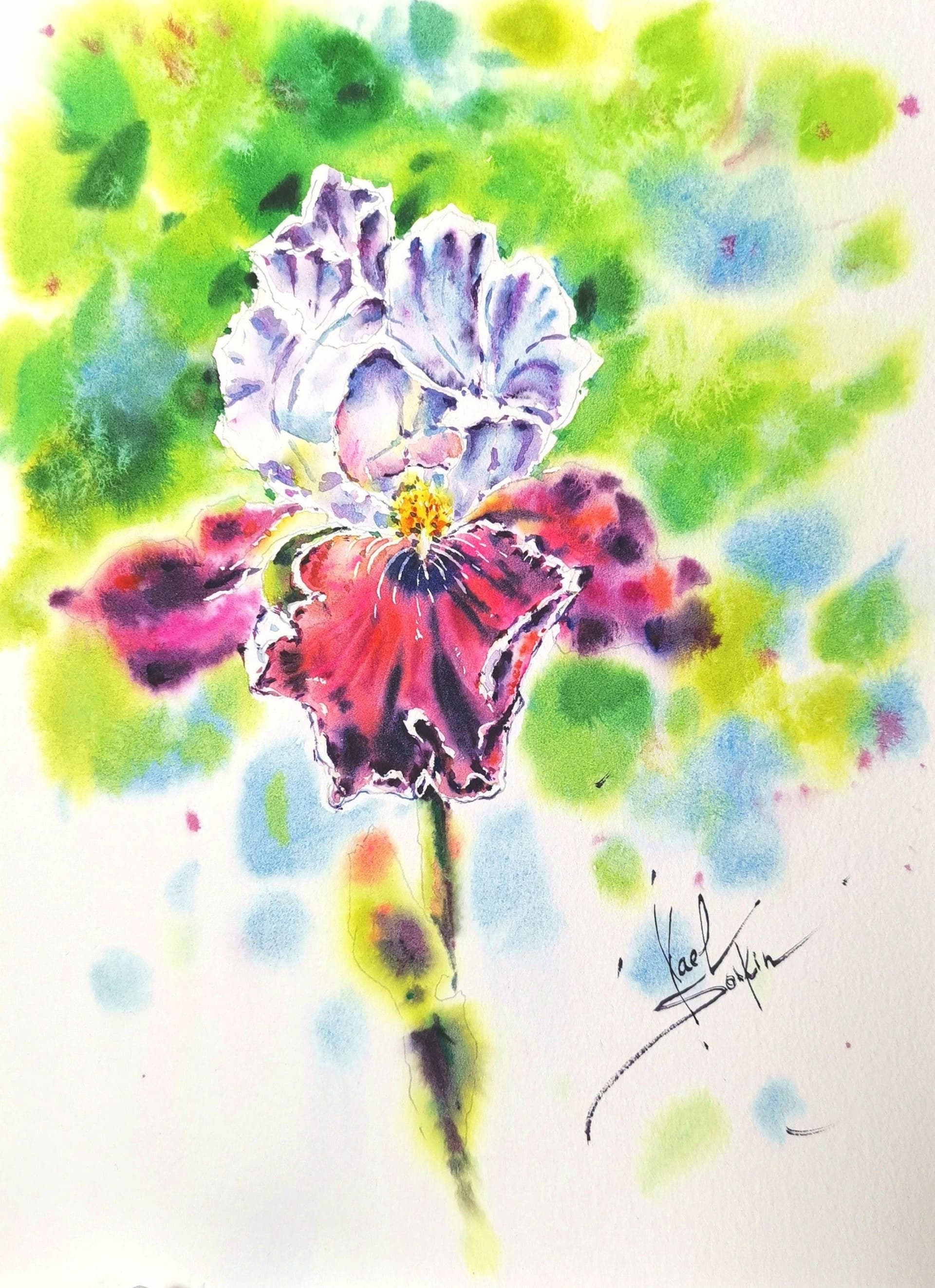 Original watercolor painting "Burgundy Iris” by Yael Natali — elegant botanical artwork of a blooming iris flower with deep burgundy and lavender petals on a bright green background. Vibrant floral art symbolizing beauty, nature, and spring freshness, perfect for flower and watercolor art lovers