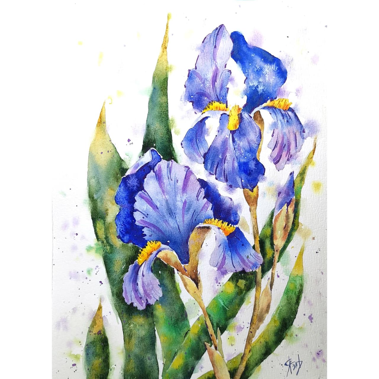 Iris flower painting Original watercolor painting — image 1