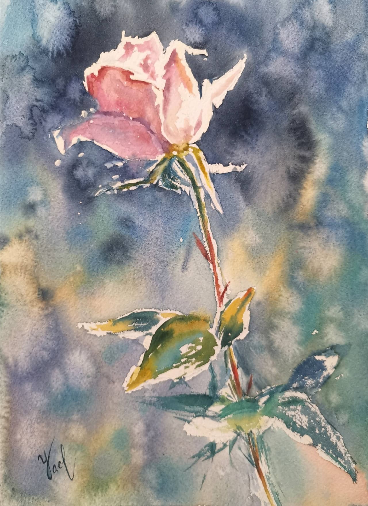 Pink rose flower Original watercolor painting — image 1