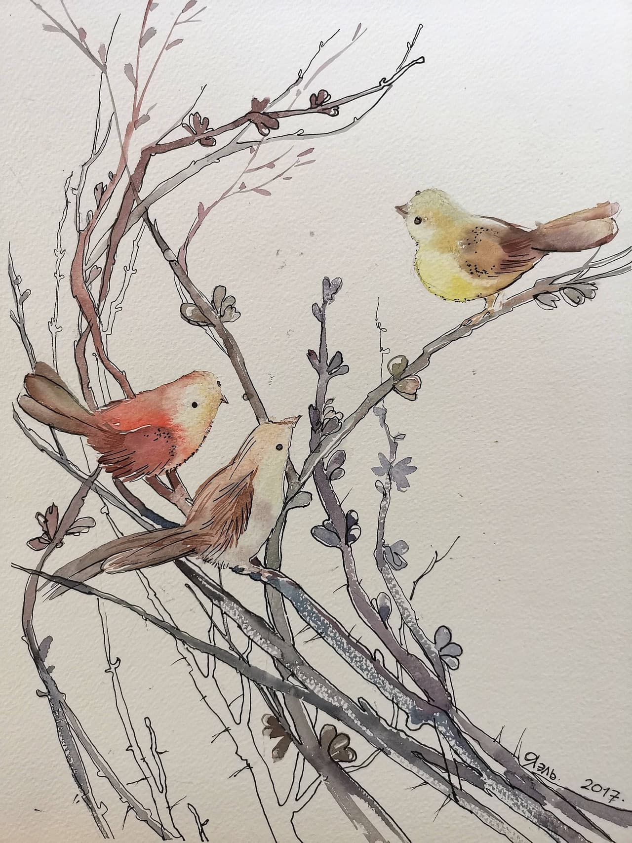 Bird Painting Original Watercolor Artwork — image 1