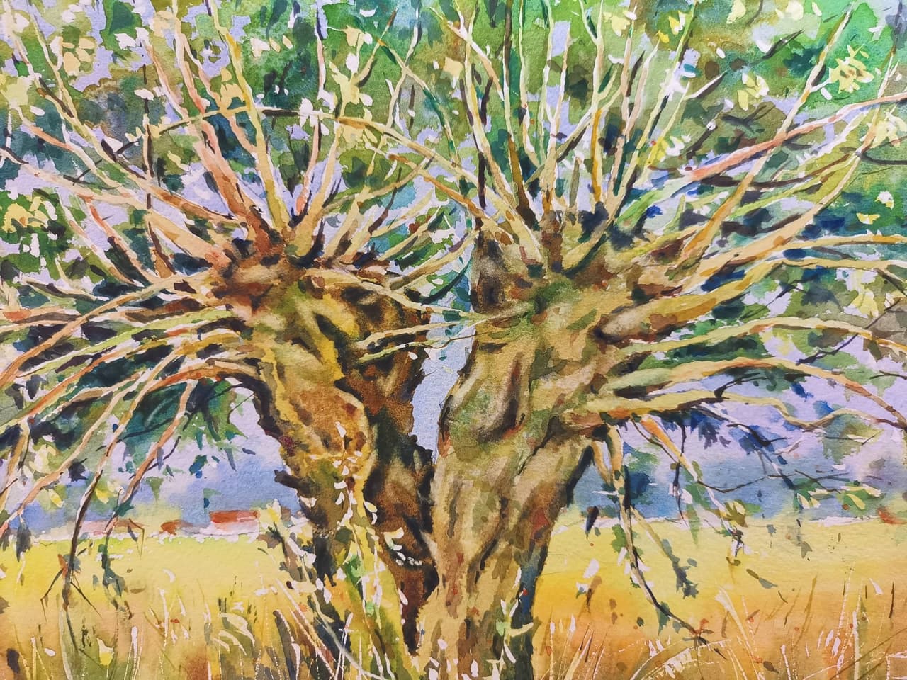 Original Watercolor Provence Twin Tree Painting - French Countryside Landscape Wall Art — image 2