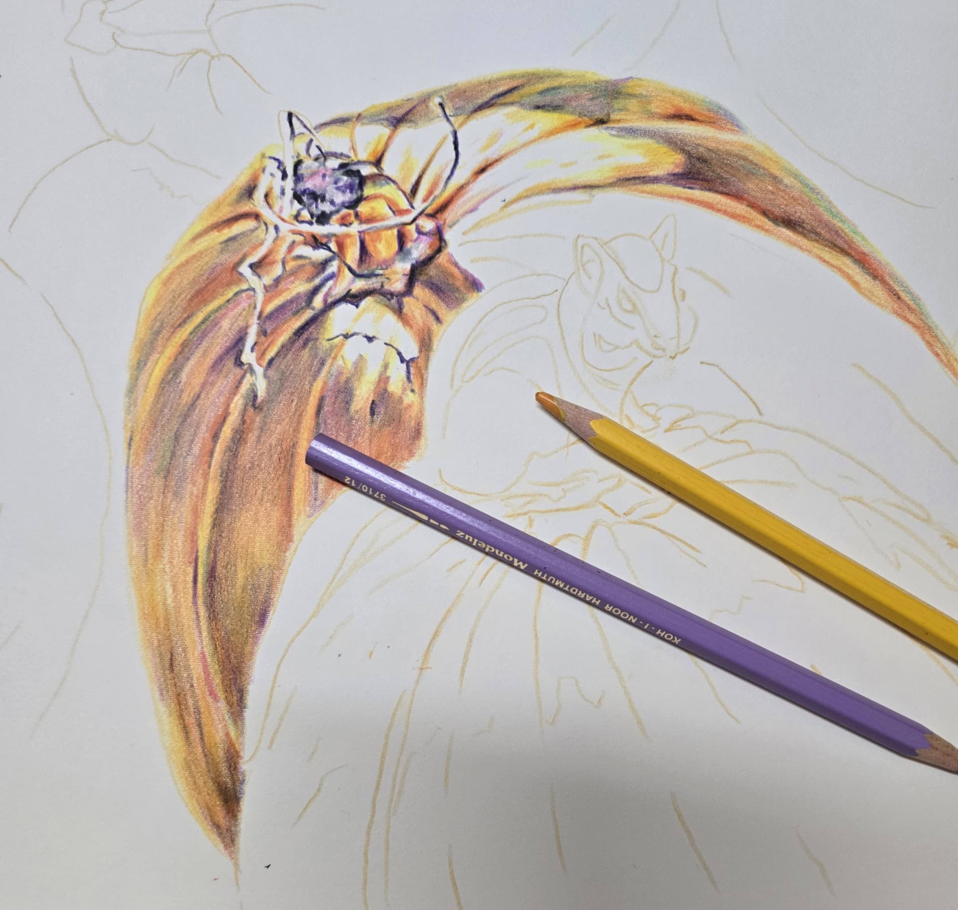 yael nataly blog post image 3