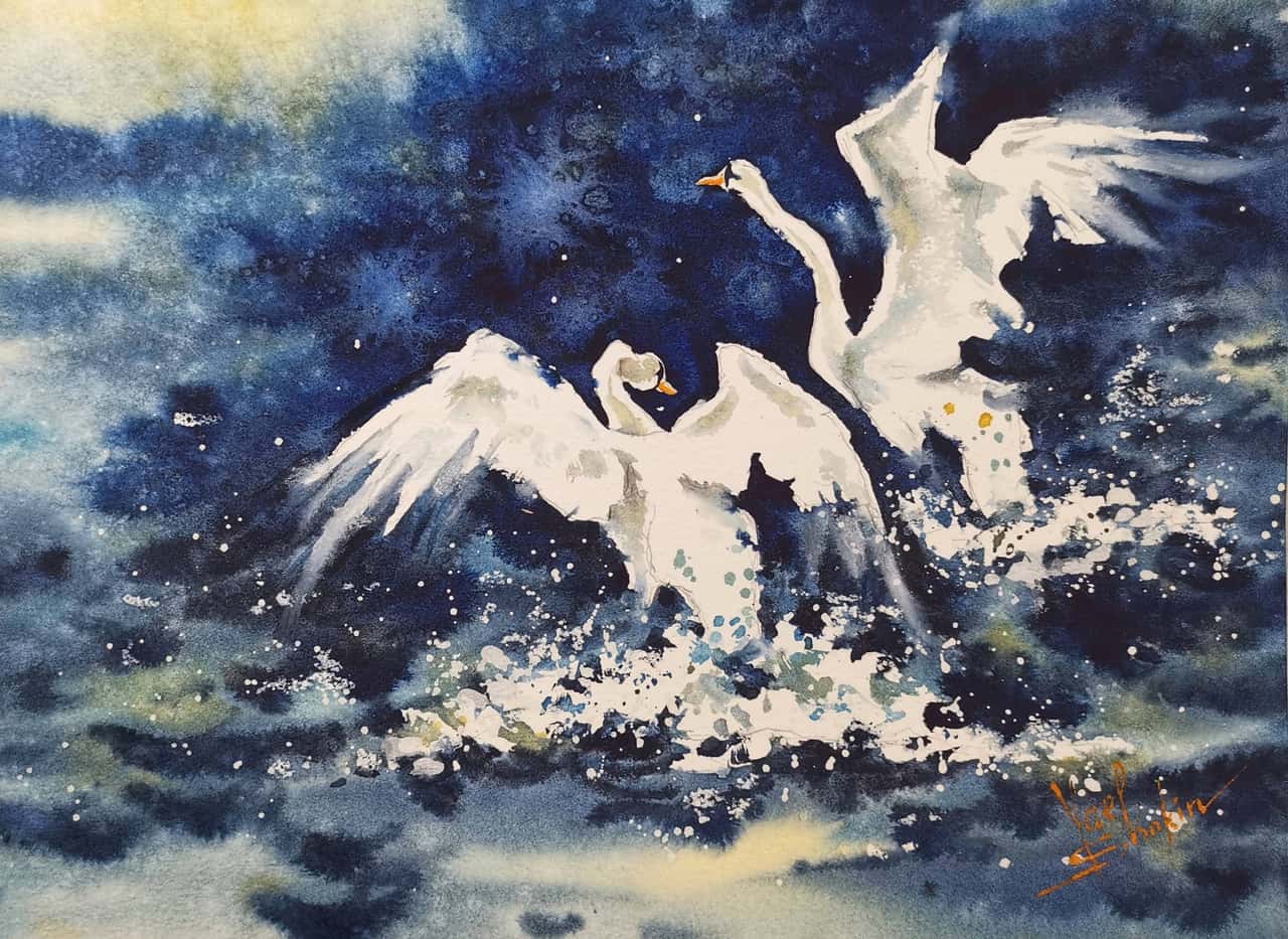 Swans Painting Original Watercolor Artwork