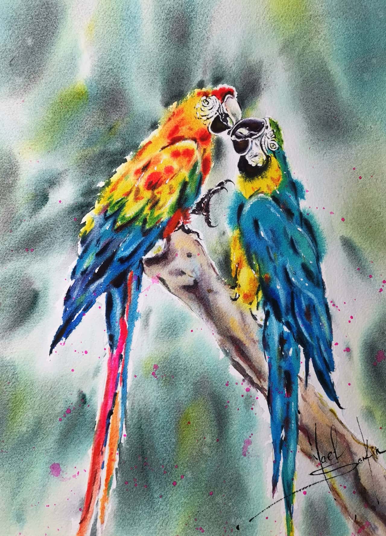 Macaw Parrot Artwork Original Watercolor Painting