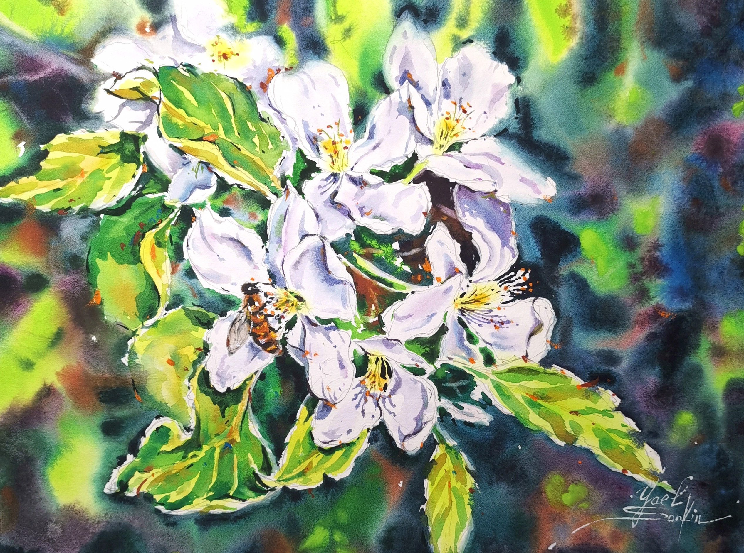Original watercolor painting of apple tree blossoms with a honey bee by Yael Natali. Delicate white and pink flowers surrounded by green leaves in sunlight. Spring floral art, botanical watercolor wall decor, nature-inspired artwork, handmade painting 11x15 inches