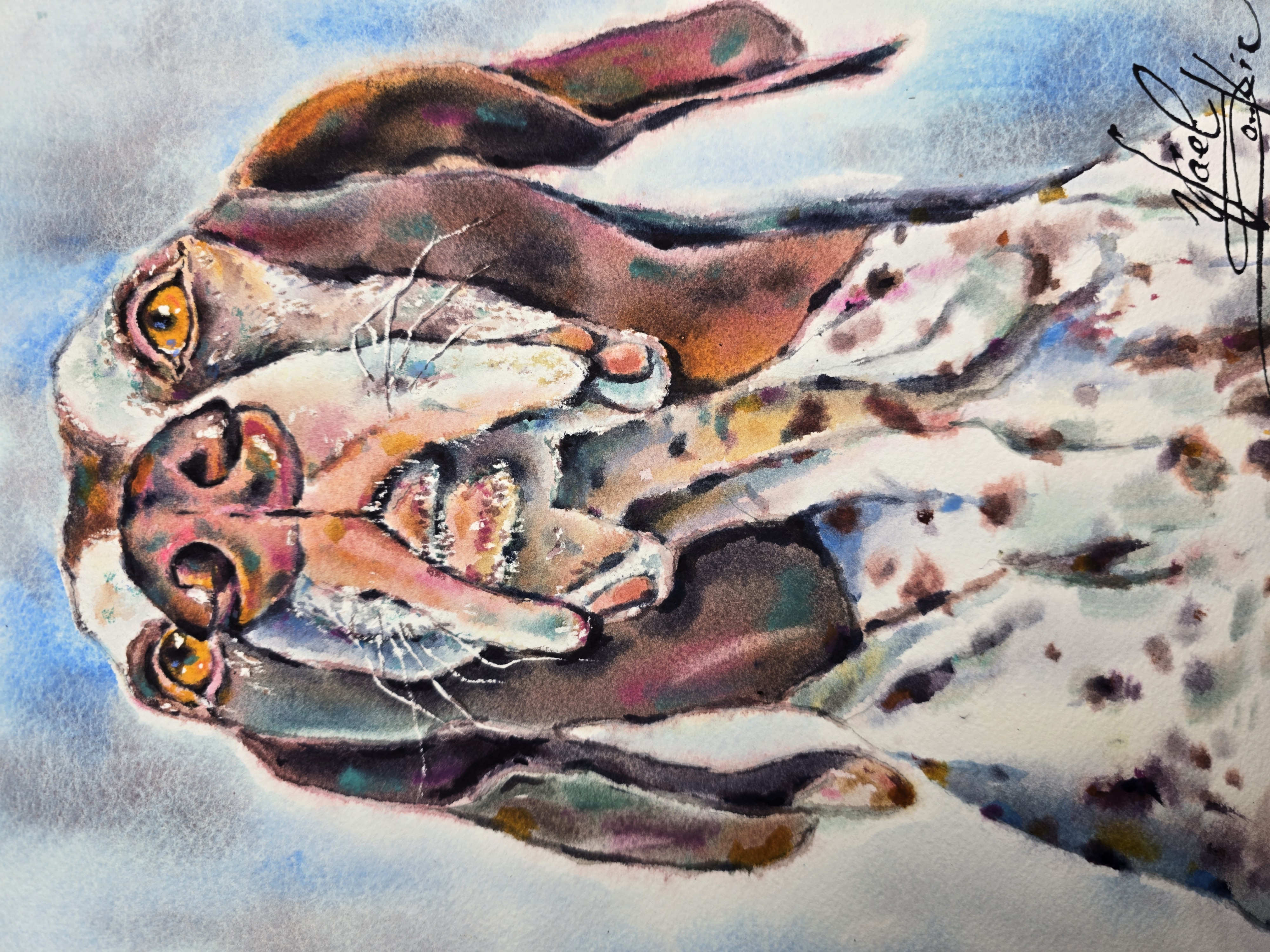 yael nataly blog post image 2