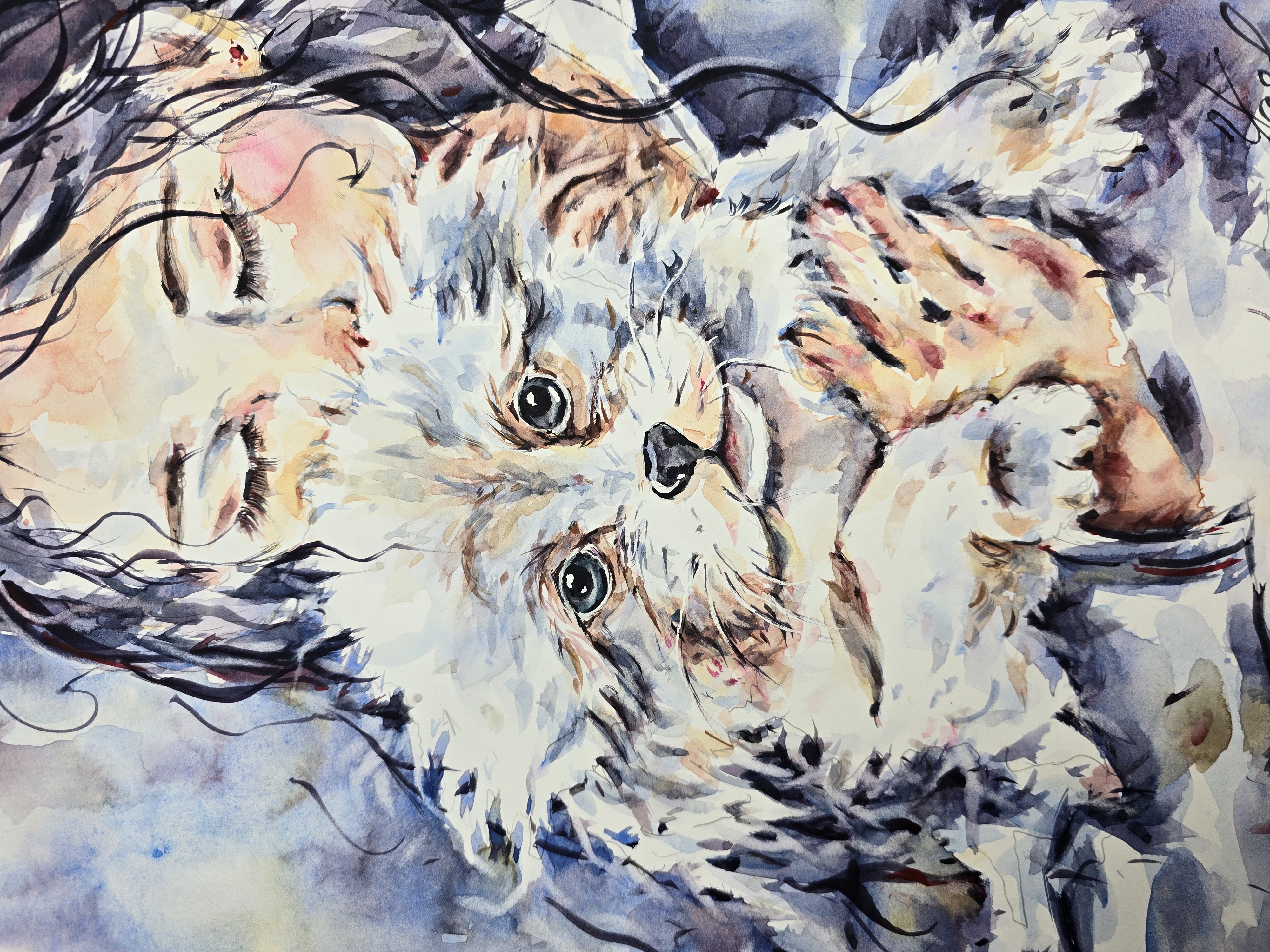 yael nataly blog post image 3