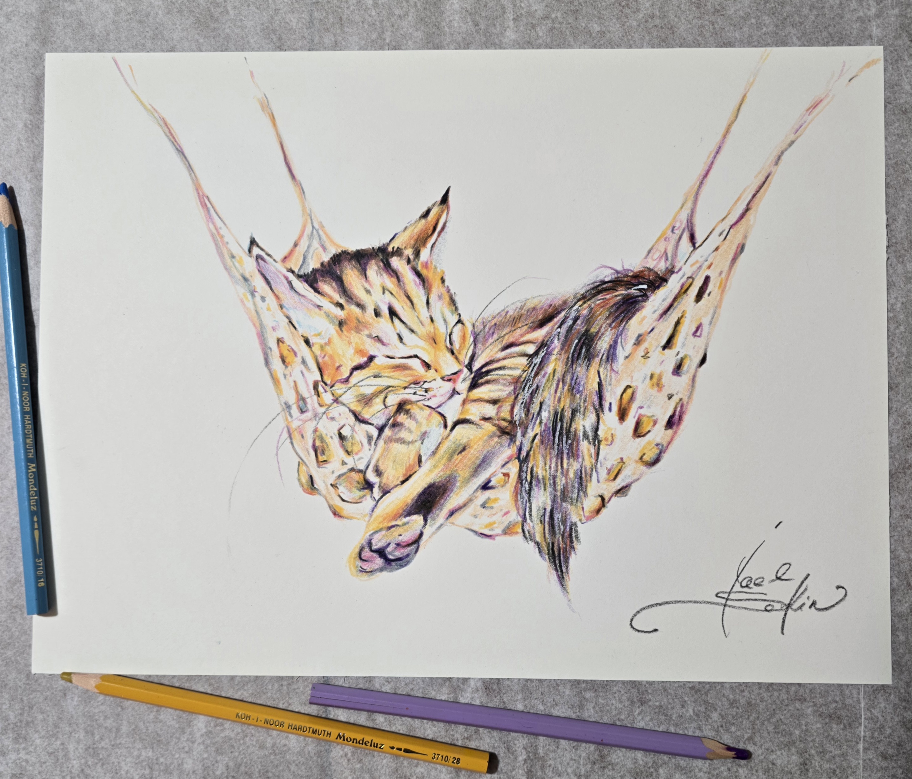 yael nataly blog post image 2