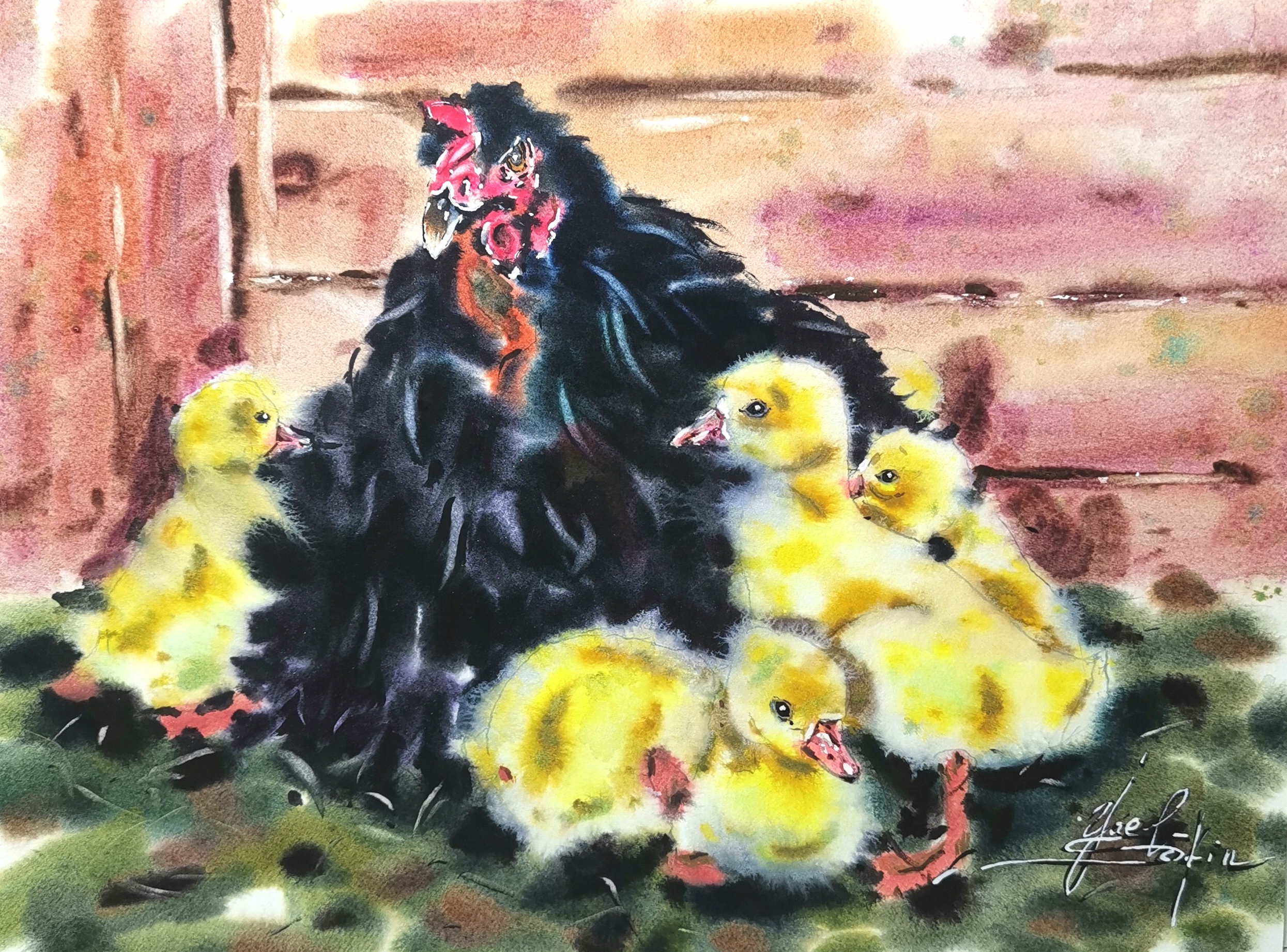 original watercolor painting of a black hen with yellow chicks in rustic countryside scene, farm animal wall art 9x12 inches